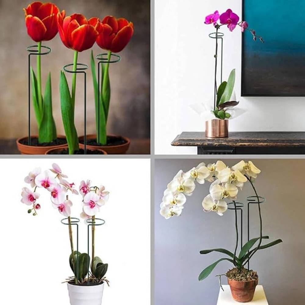 Lot De 10 Tuteurs En Métal Pour Plantes - Image 5