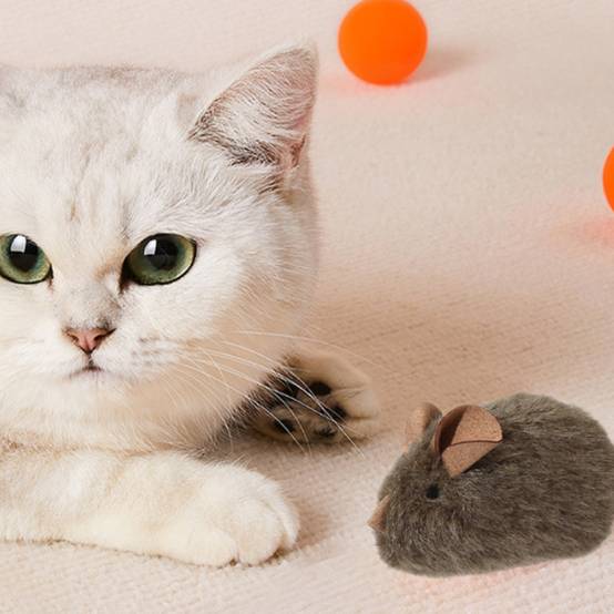 Jouets réalistes pour souris et chats - IntiMeg - Image 2