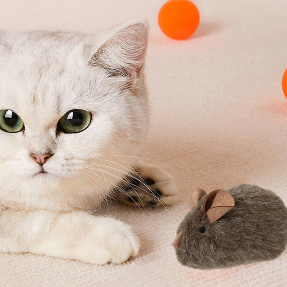 Jouets réalistes pour souris et chats - IntiMeg - Image 2