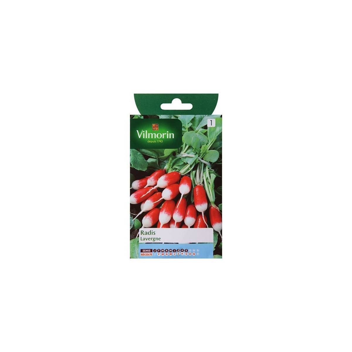 Vilmorin - Sachet graines Radis Lavergne