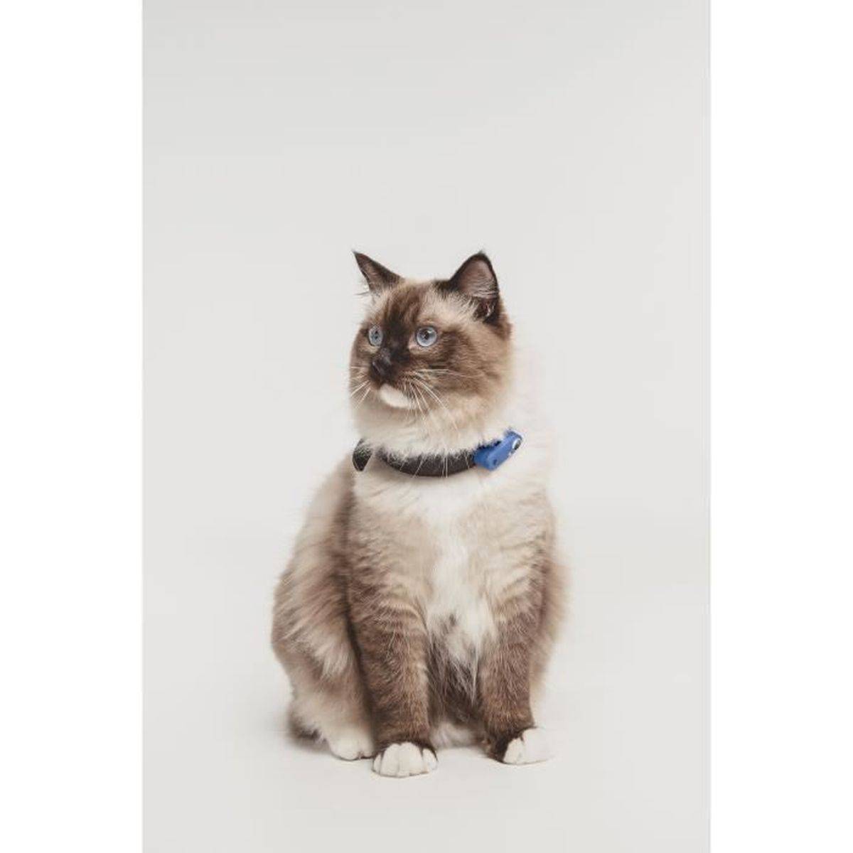 Répulsif anti-tiques et puces ultrasonique mini pour chat, clip sur harnais, recharge LED - TICKLESS - Image 4