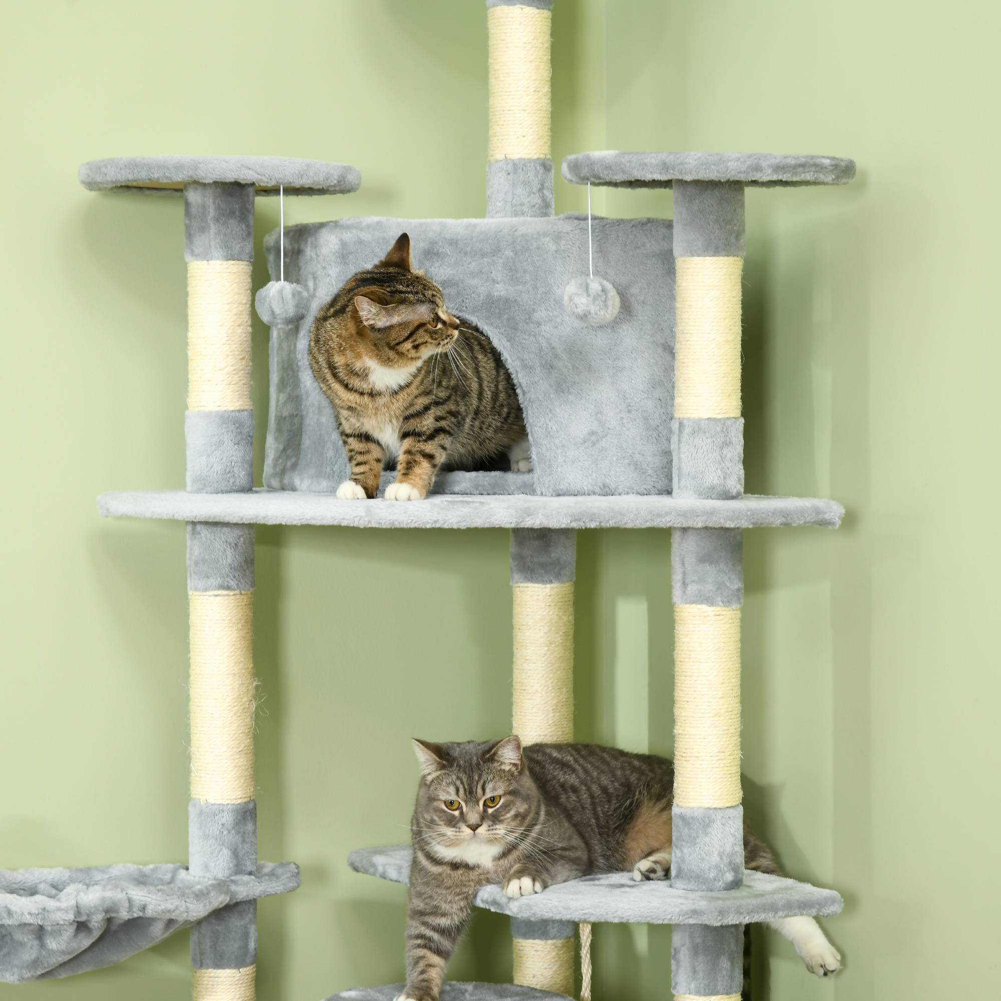 Arbre à chat XXL arbre à grimper pour chat multi-équipements griffoirs 6 plate-formes 2 niches hauteur 200 cm gris - Image 9