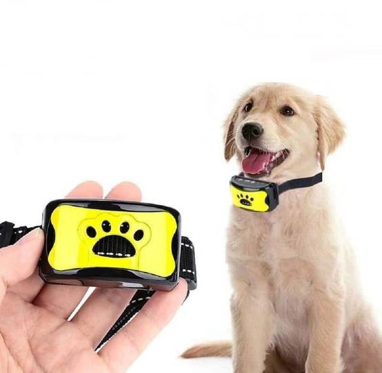 IntiMeg - Collier anti-aboiement pour chien, 7 niveaux de sensibilité, rechargeable, étanche, IntiMeg - Image 1