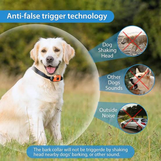 IntiMeg - Collier anti-aboiement pour chien, 7 niveaux de sensibilité, rechargeable, étanche, IntiMeg - Image 5