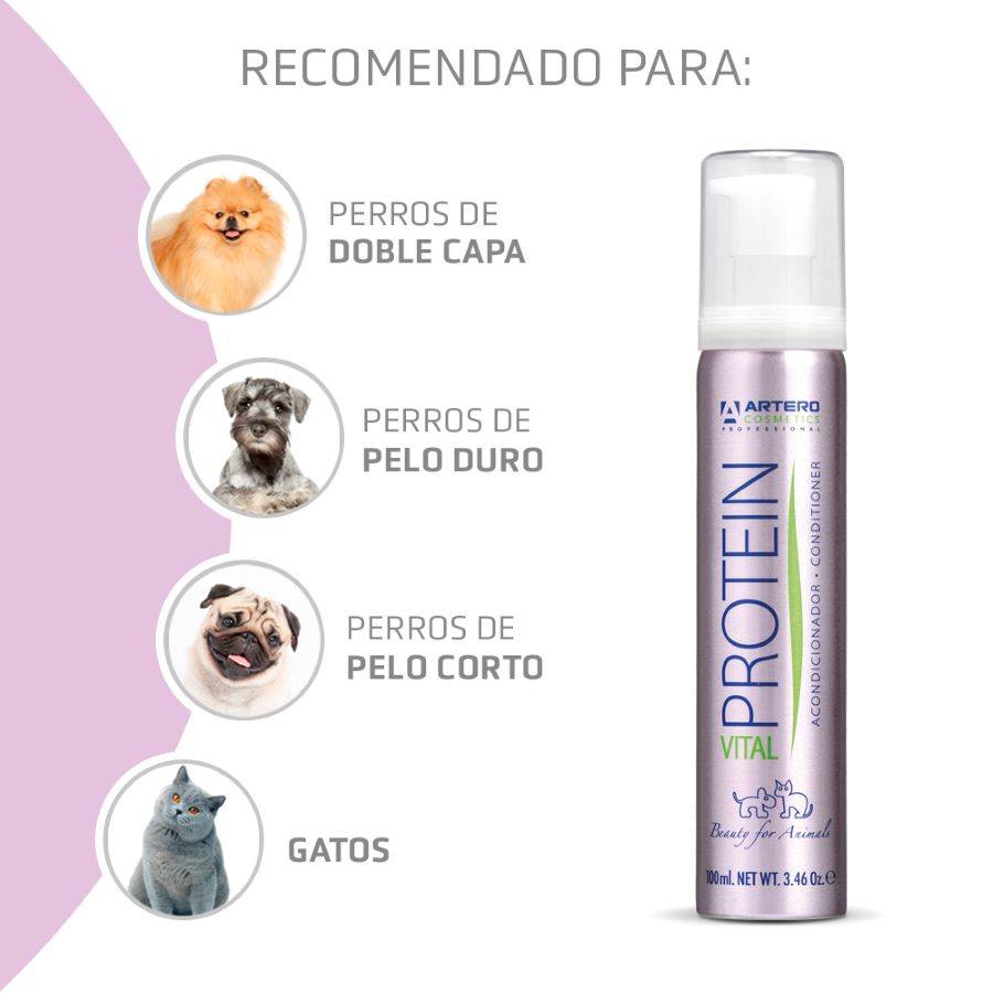 Après-Shampoing Artero Protein Vital 650 - Image 3