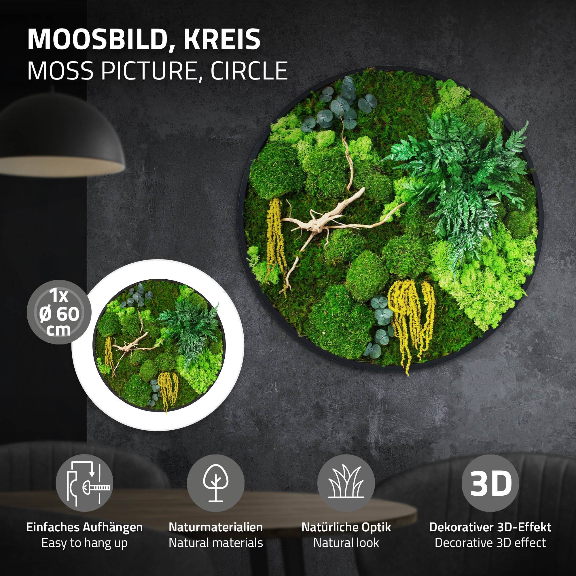 Ecd-Germany - Tableau végétal mural stabilisé, Ø 60 cm, mélange de mousses avec eucalyptus, fougères et bois naturel, effet 3D, décoration d'intérieur, style jungle - Image 2