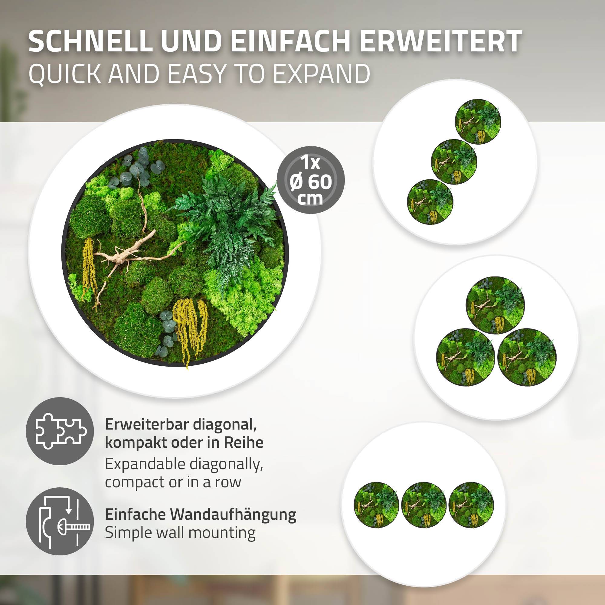 Ecd-Germany - Tableau végétal mural stabilisé, Ø 60 cm, mélange de mousses avec eucalyptus, fougères et bois naturel, effet 3D, décoration d'intérieur, style jungle - Image 4