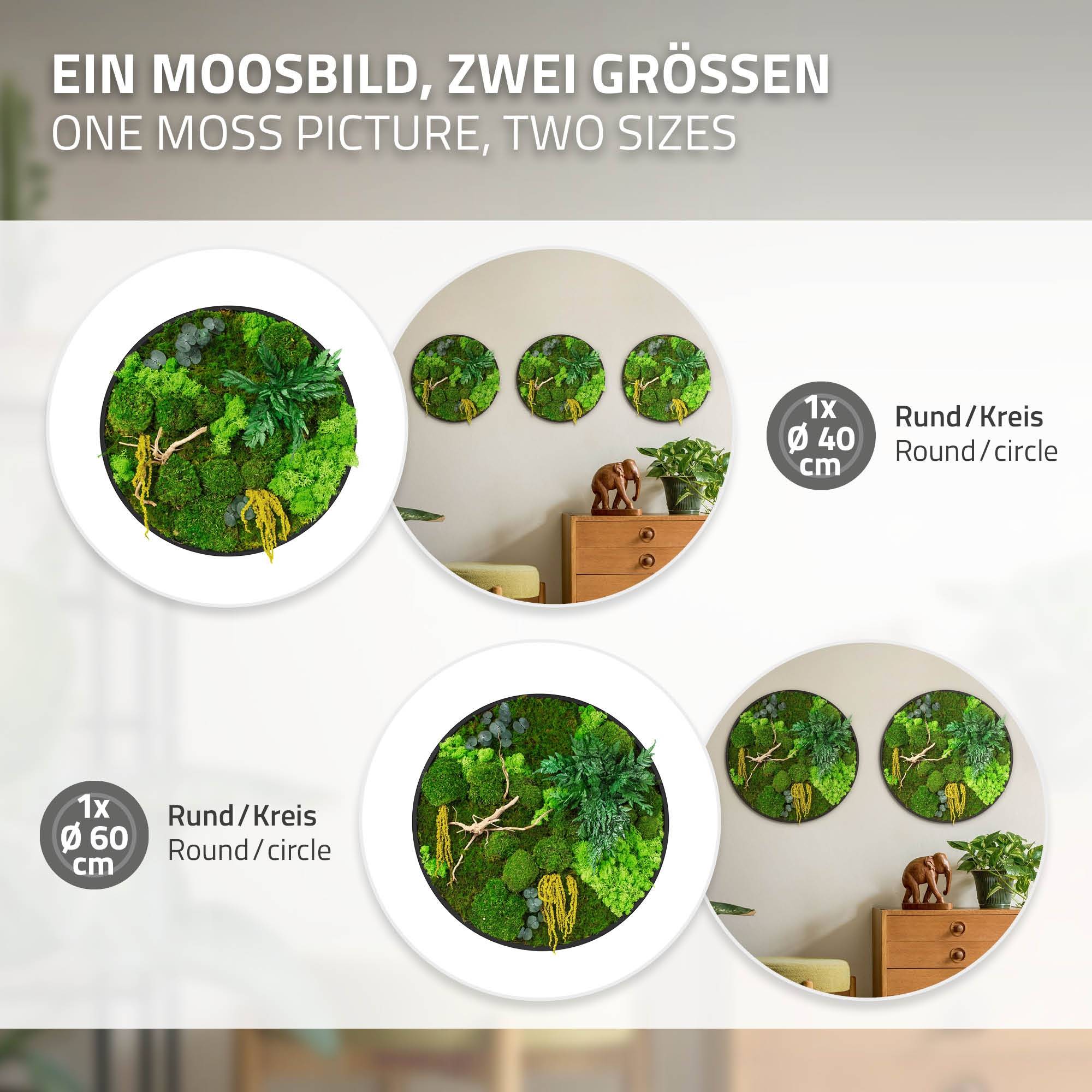Ecd-Germany - Tableau végétal mural stabilisé, Ø 60 cm, mélange de mousses avec eucalyptus, fougères et bois naturel, effet 3D, décoration d'intérieur, style jungle - Image 6