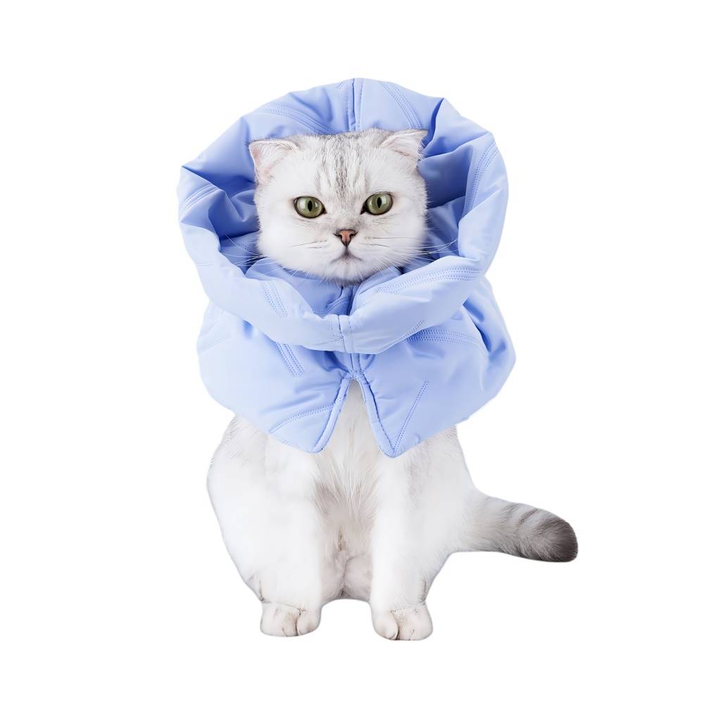 IntiMeg - Collier anti-lèchage pour chat Bleu clair S IntiMeg - Image 1