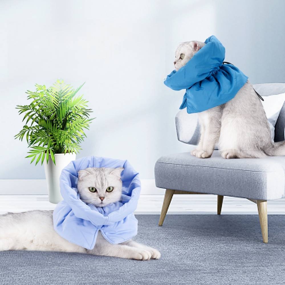 IntiMeg - Collier anti-lèchage pour chat Bleu clair S IntiMeg - Image 3