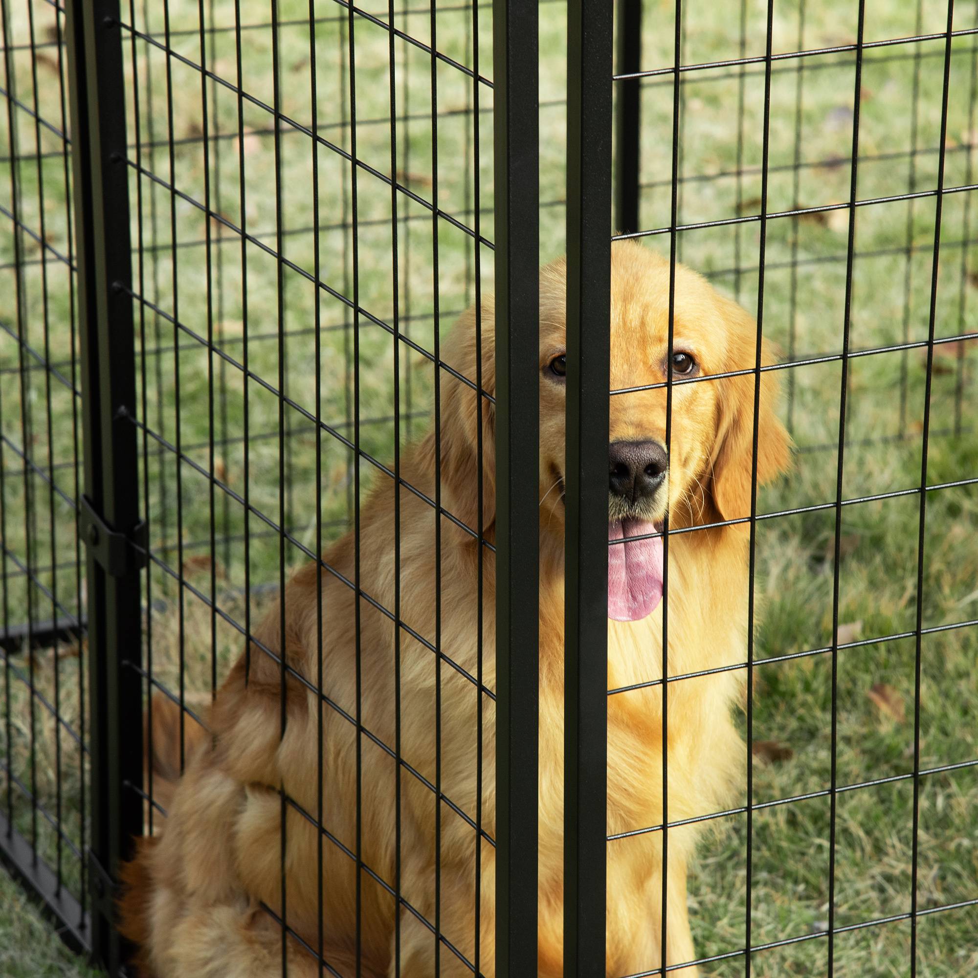 Parc pliable pour chien avec housse, 8 panneaux et porte verrouillable, 141 x 141 x 113 cm, noir - Image 10