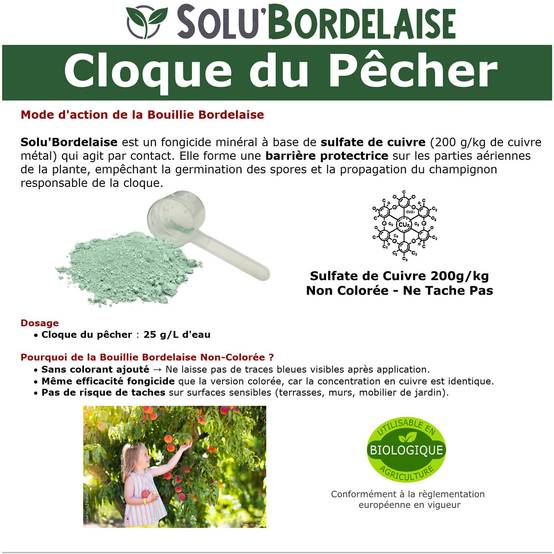 Solu'Bordelaise - Cloque du Pêcher - 1 kg de Bouillie Bordelaise Non Colorée - Polyvalent-Sulfate de Cuivre 200 g/kg - Doseur Inclus - Image 3