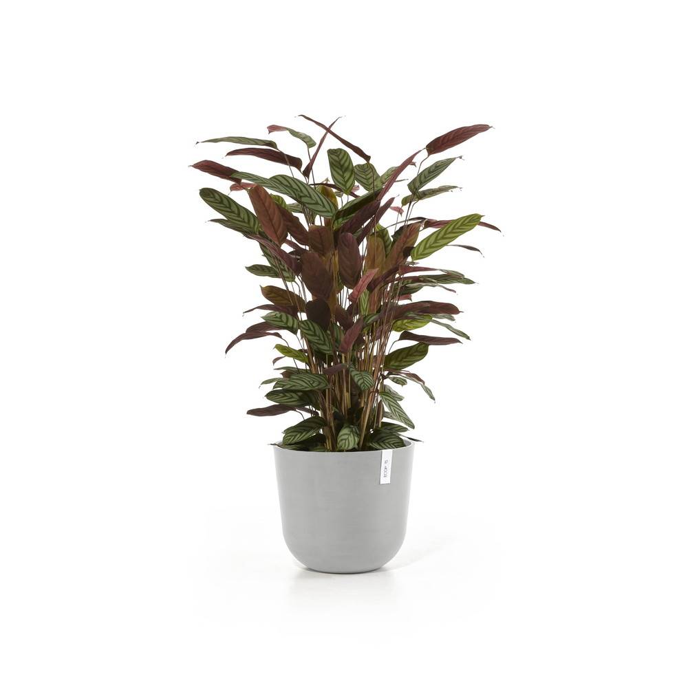Ecopots - Pot Rond Oslo 35 Blanc Gris + réservoir d'eau - Ø 35 x H. 30,5 cm - 21,7 L ECOPOTS