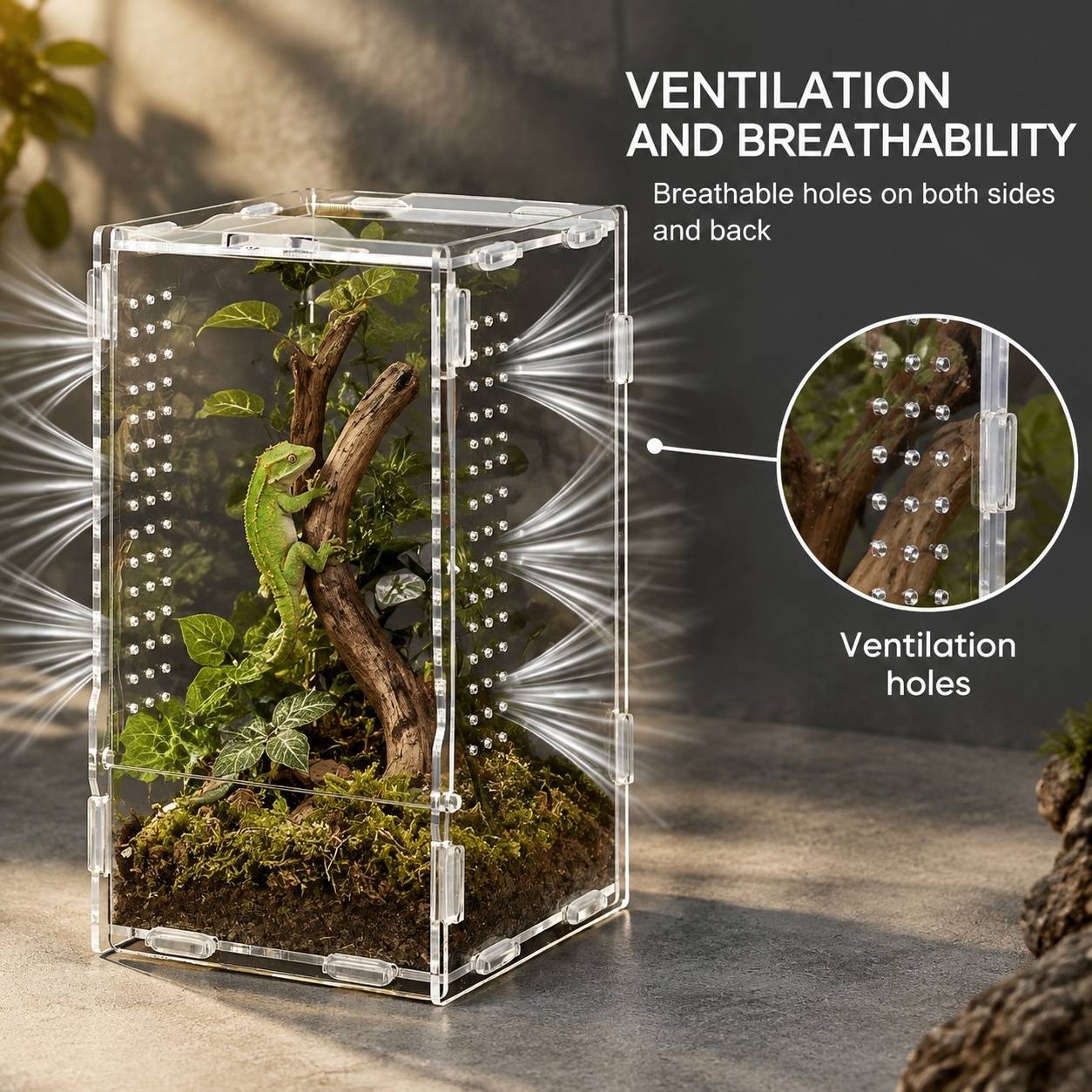 Boîte d'élevage acrylique multi-usages pour reptiles, amphibiens et tarentules - Image 3