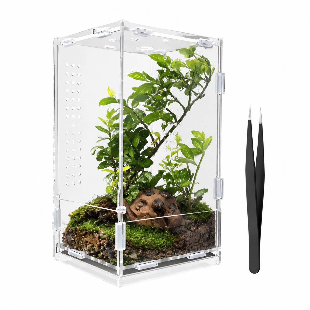 Boîte d'élevage acrylique multi-usages pour reptiles, amphibiens et tarentules - Image 1