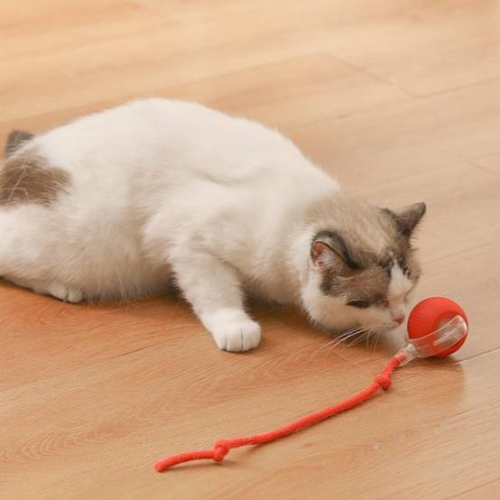 IntiMeg - Jouet pour chat Balle automatique pour chat Rouge IntiMeg - Image 3