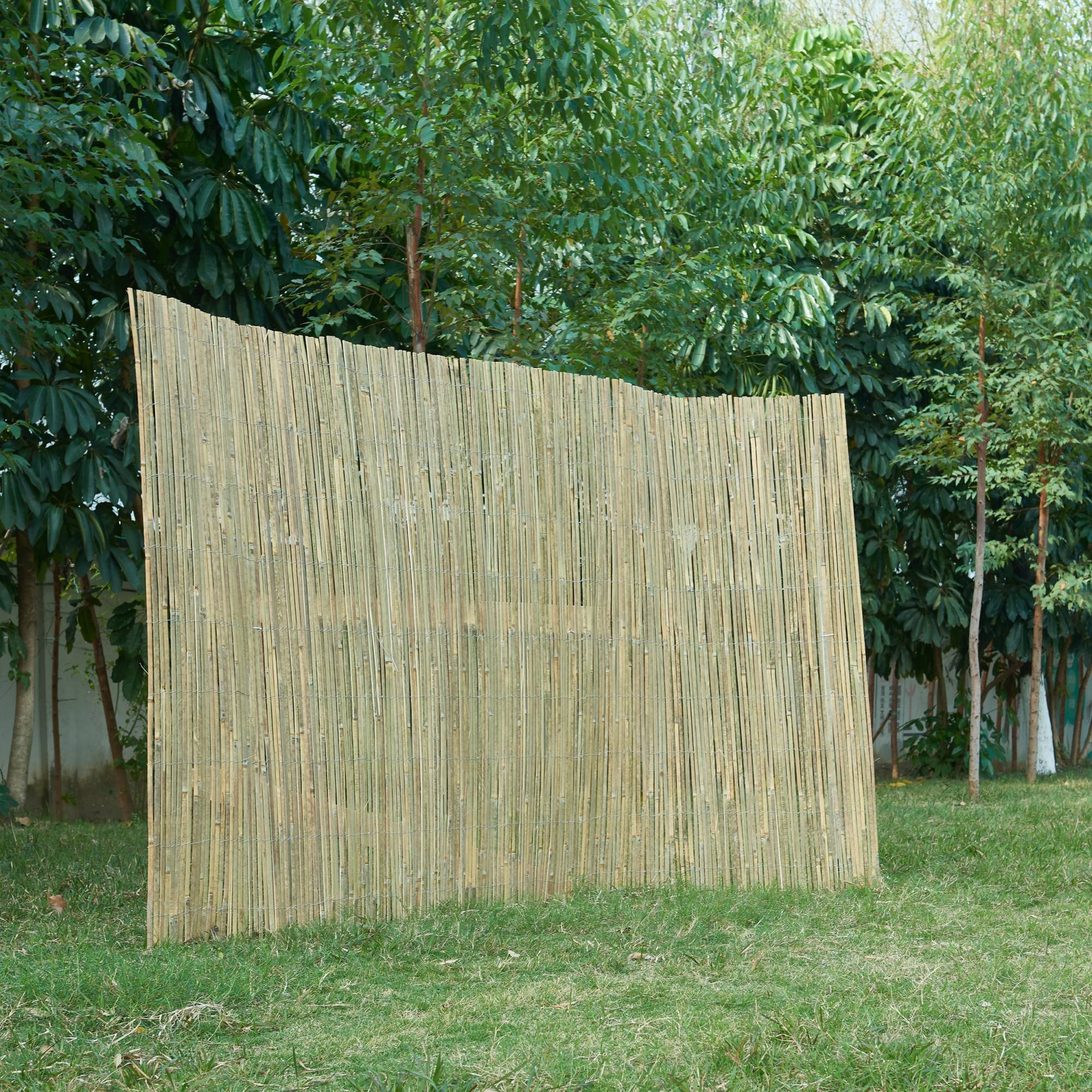 Casa.Pro - Canisse en bambou Baarle 180 x 500 cm naturel casa.pro - Image 2