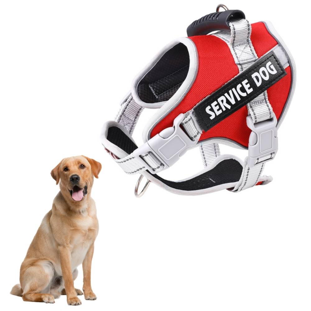 IntiMeg - Harnais réfléchissant pour grands chiens l - IntiMeg - Image 1