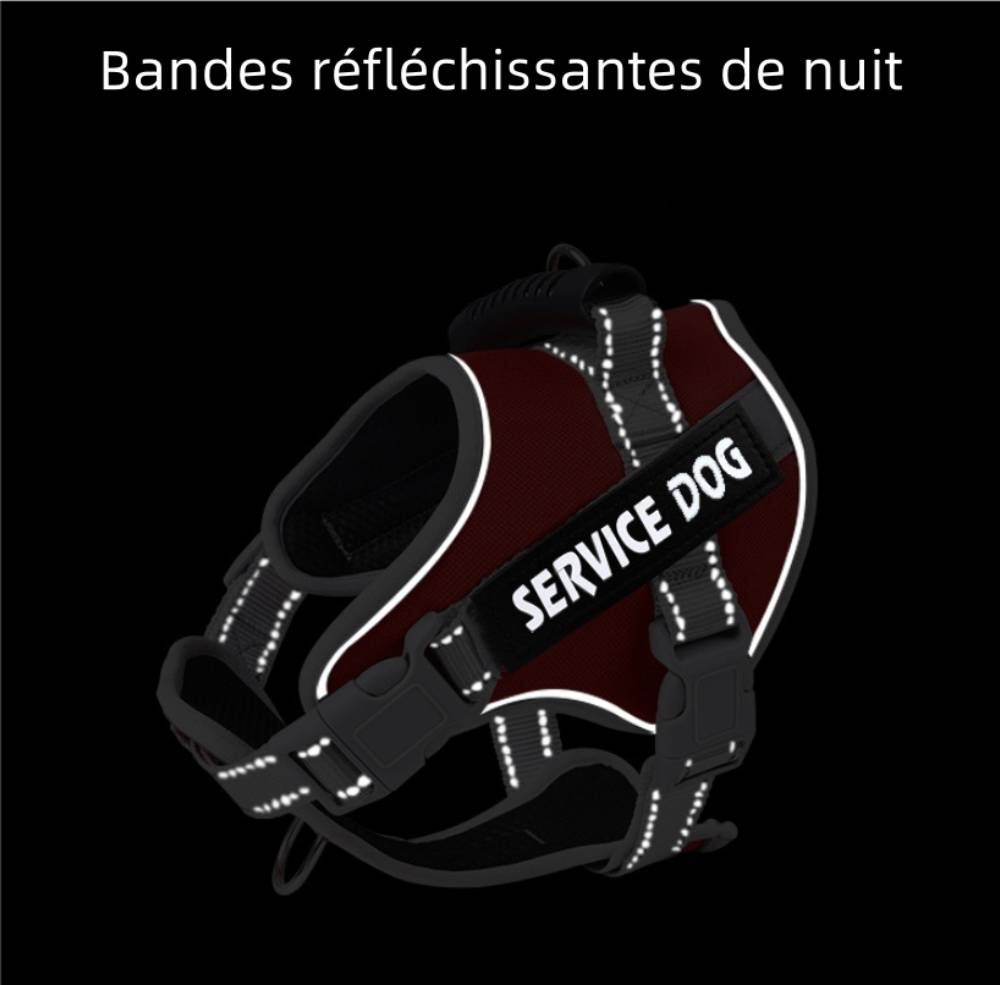 IntiMeg - Harnais réfléchissant pour grands chiens l - IntiMeg - Image 4