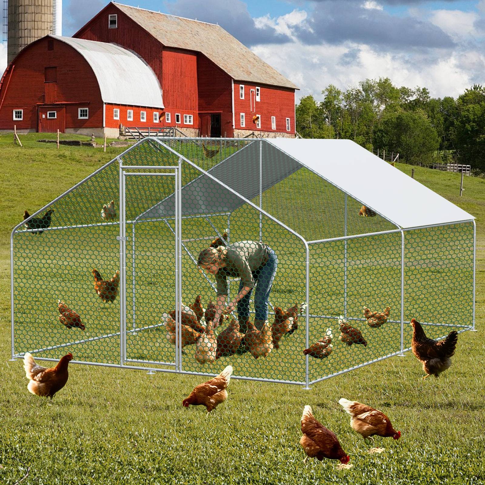 Enclos Poulailler 12m² Métal Volailles Lapins Sécurité Extérieure Toit Imperméable 3x4x2m - ComfortXL Outdoor Living - Image 2
