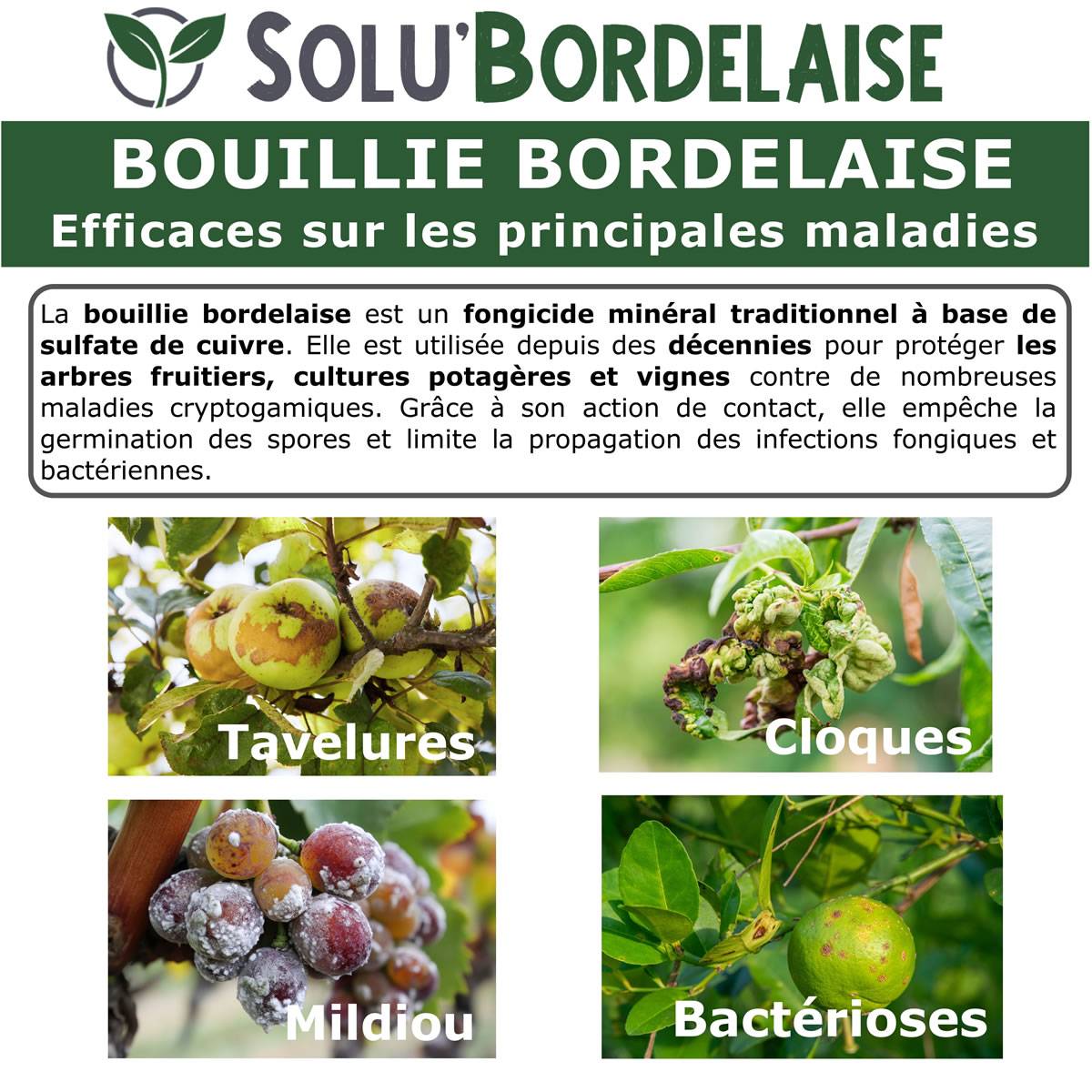 Solu'Bordelaise - 500 g - Bouillie Bordelaise Non Colorée - Polyvalent Sulfate de Cuivre- Protection Arbres Fruitiers, Cultures Potagères, Vignes -UAB - Image 5