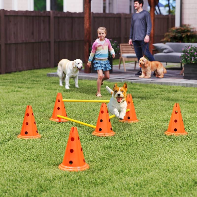 Kit Agility Chien Plastique ABS Entraînement Canin Haies de Saut Réglables Orange 80x30cm - ComfortXL Outdoor Living - Image 1