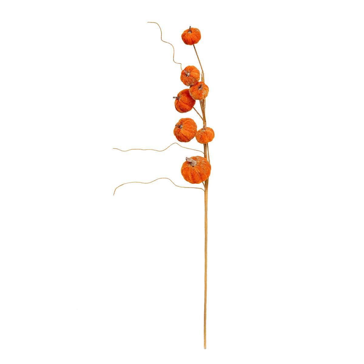 Atmosphera - BCH CITROUILLE H60 - Atmosphera Créateur d'intérieur - Image 1