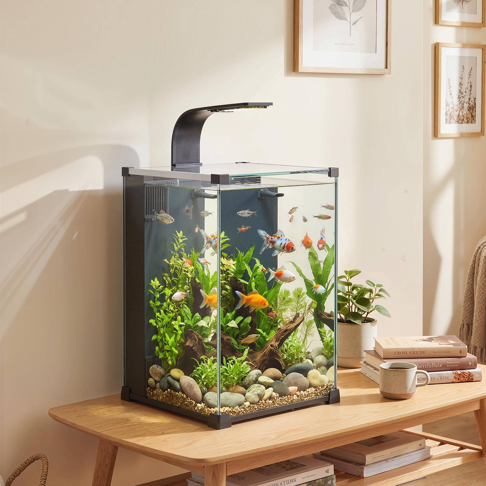 Sans Marque - Aquarium en Verre Trempé Nano Aquarium avec Filtre Intégré Pompe 5W et Éclairage LED 30x30x45cm Noir - Image 4