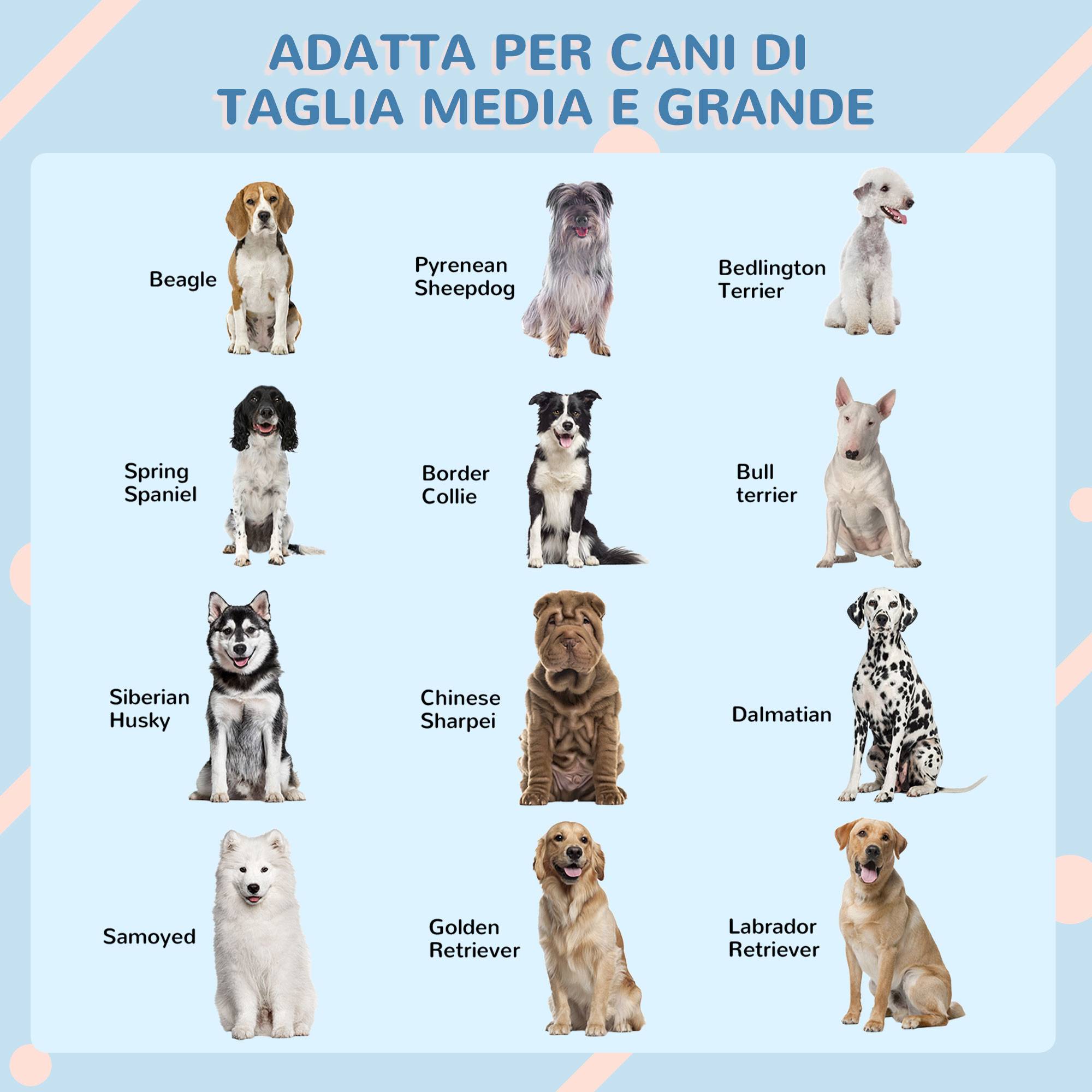 Niche étanche en polypropylène pour chiens moyens et grands, poids max. 30 kg, dimensions : 84,2 x 98,2 x 82 cm, bleue - Image 9
