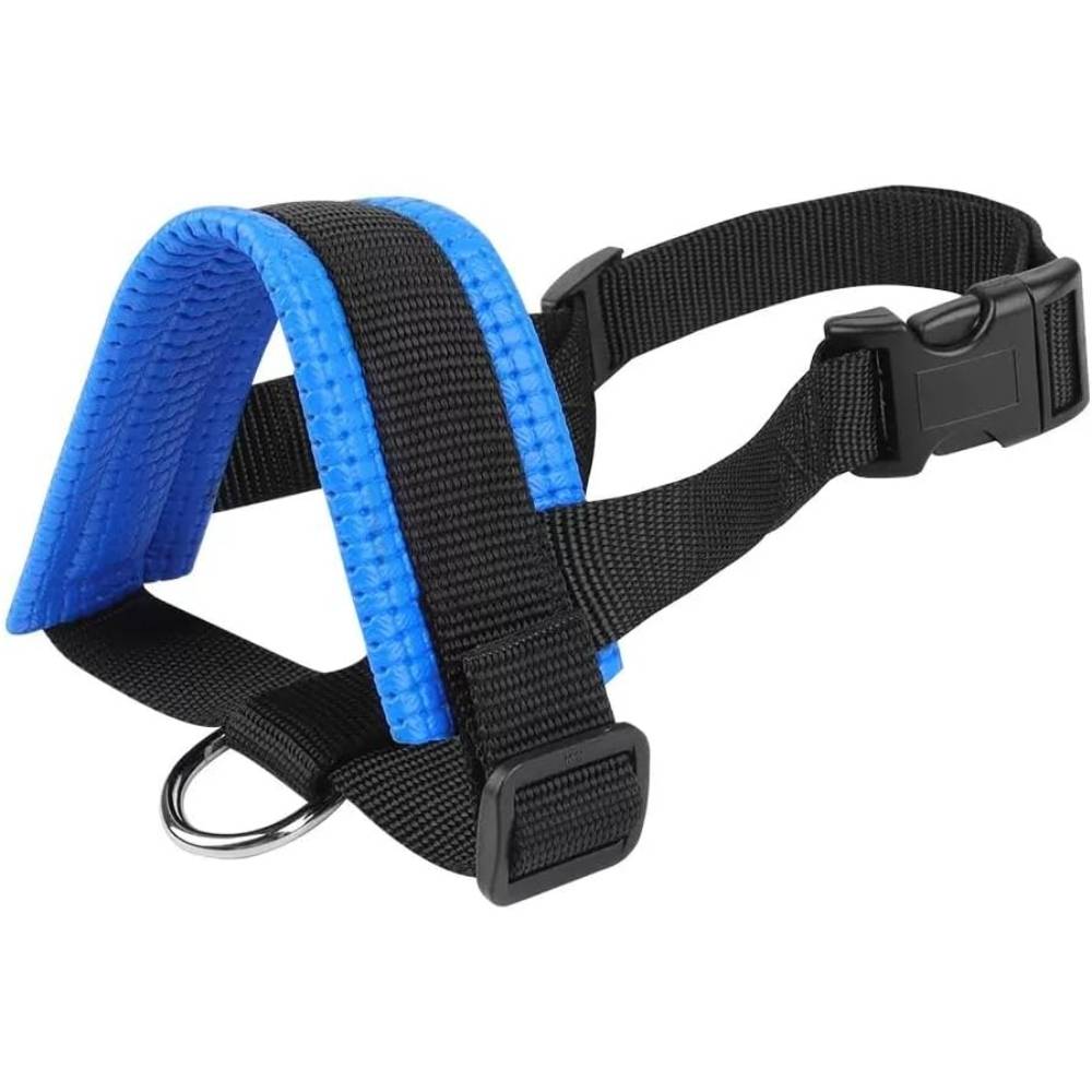 IntiMeg - Muselière bleue pour chien - IntiMeg - Image 1