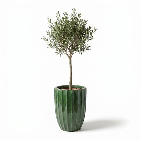 Lot olivier + pot HUGO 44x59cm vert jungle - Image 2