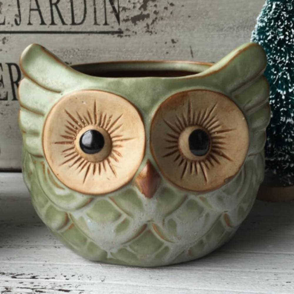 Pot De Fleur Céramique Hibou Mignon MCBOSON - Image 4