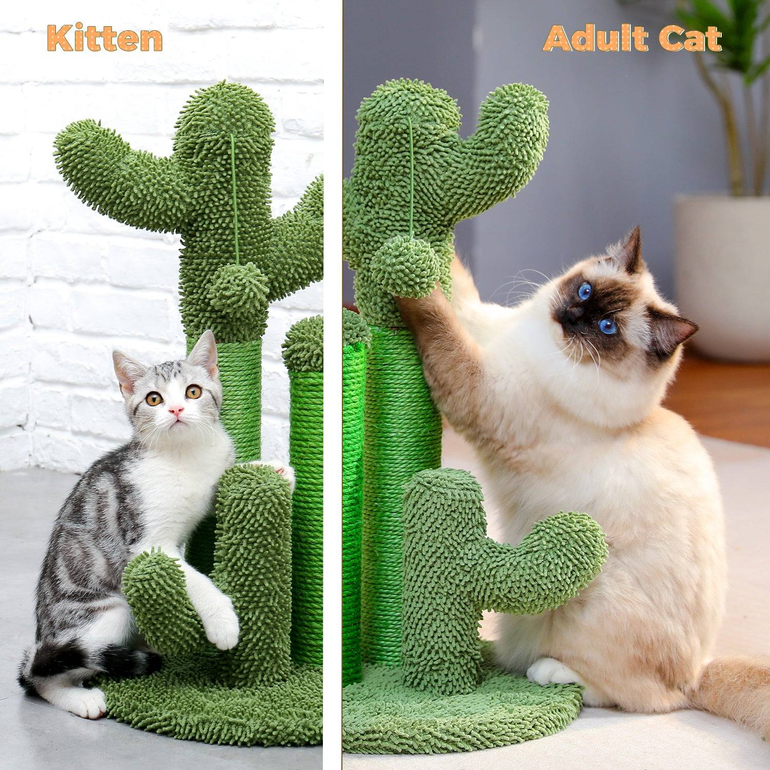 Arbre à Chat Cactus Lot de 3 Marron (XL) PAWZ Road - Image 10