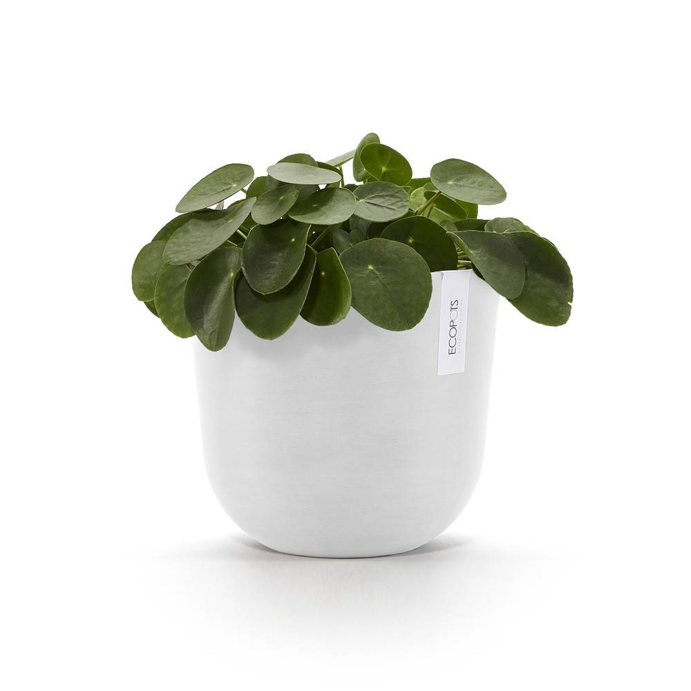 Ecopots - Pot Rond Oslo 25 Blanc Pur - Ø 25 x H. 21,8 cm - 7,7 L ECOPOTS - Image 3