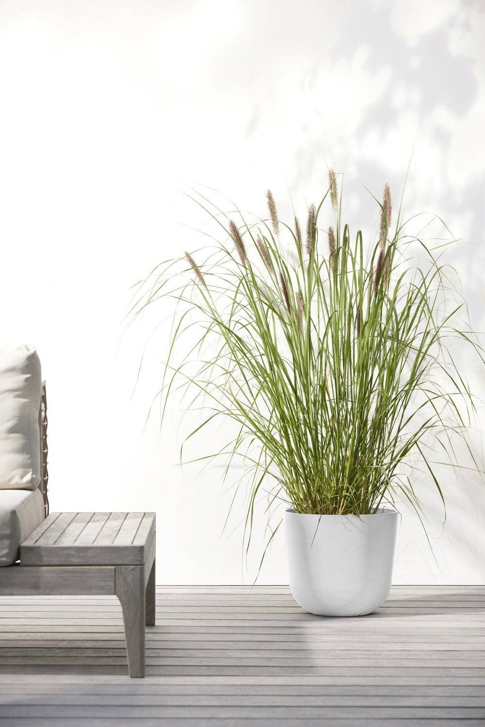 Ecopots - Pot Rond Oslo 25 Blanc Pur - Ø 25 x H. 21,8 cm - 7,7 L ECOPOTS - Image 4