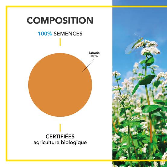 Sarrasin - Étouffe les Plantes Indésirables - S'Installe Rapidement - Améliore la Qualité et la Structure du Sol - 500G - BARENBRUG - Image 3