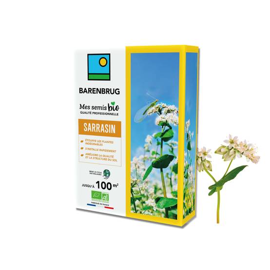 Sarrasin - Étouffe les Plantes Indésirables - S'Installe Rapidement - Améliore la Qualité et la Structure du Sol - 500G - BARENBRUG - Image 1