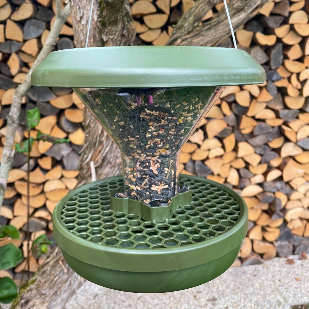Mangeoire anti-nuisibles SMART BIRDS pour oiseaux verte SWISSINNO - Image 4