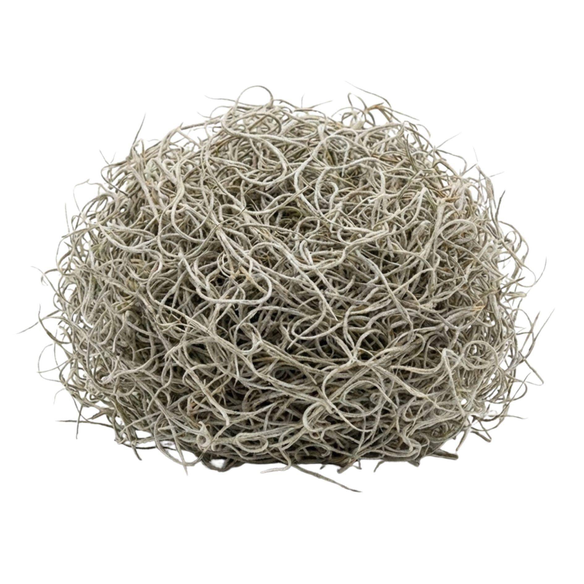 La Green Touch - Mousse de Tillandsia séchée décorative - 1 litre - Image 2
