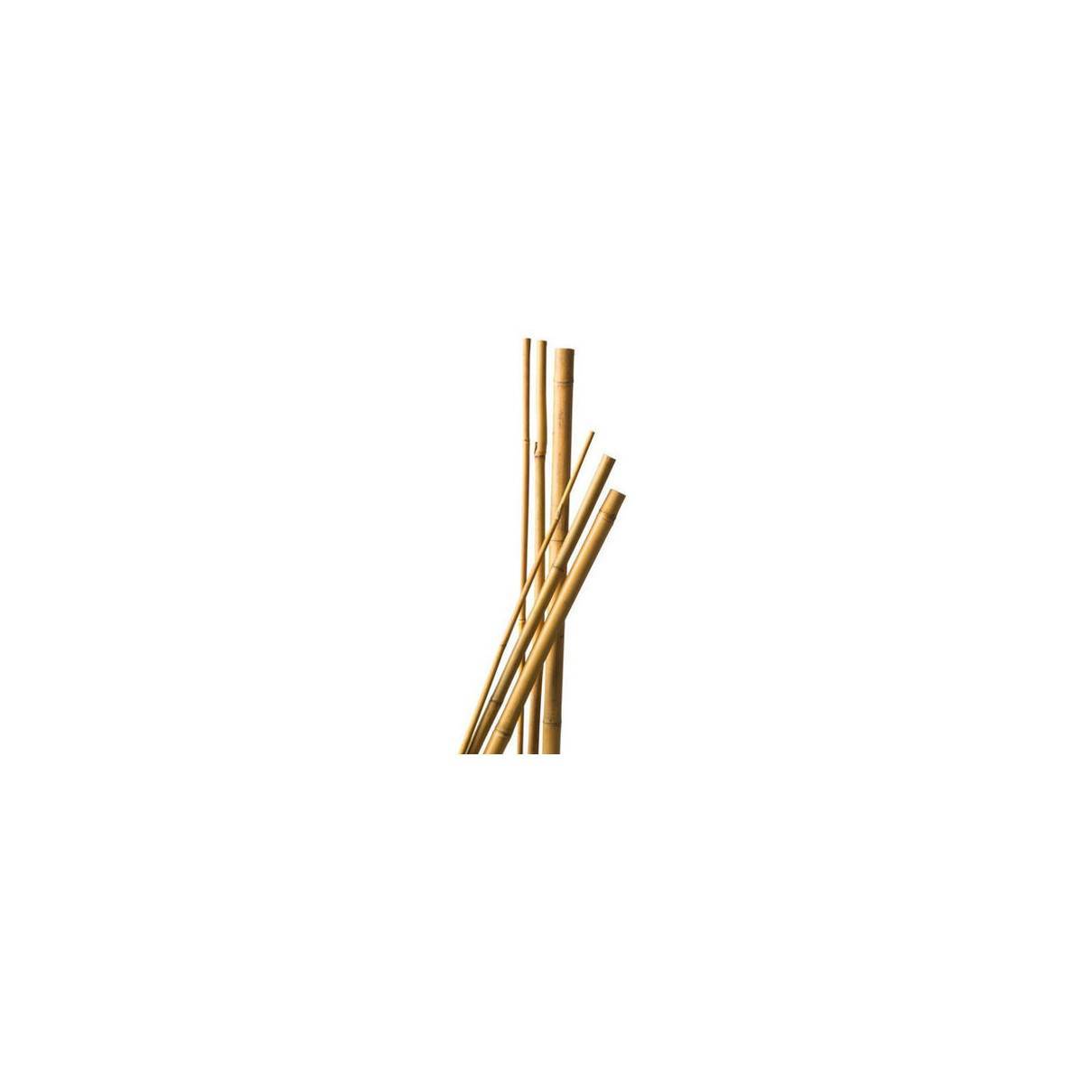 Lot de 9 Tuteurs Bambou 180 cm diam 6-8 mm