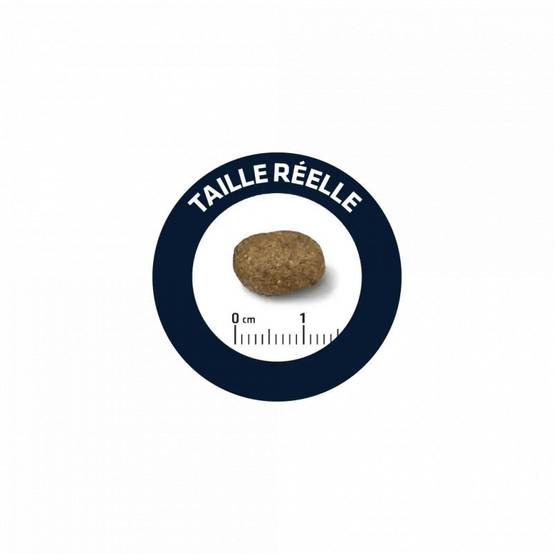 CROQUETTES CHIEN SENSITIVE AGNEAU RIZ - ADVANCE 3 kg - Image 2