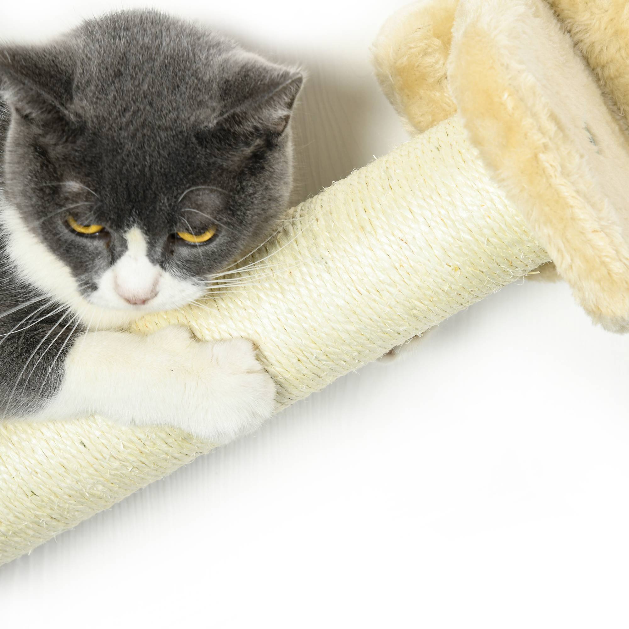 Sans Marque - Escalier chat 5 pièces, 2 colonnes, 2 plateformes peluche, hamac, Beige - Image 10