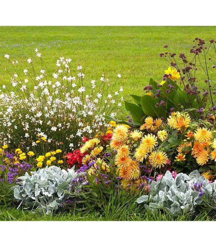 Amendement compost fertilité durable des sols 39x25kg RACINE PRO156-39x25 - Image 6
