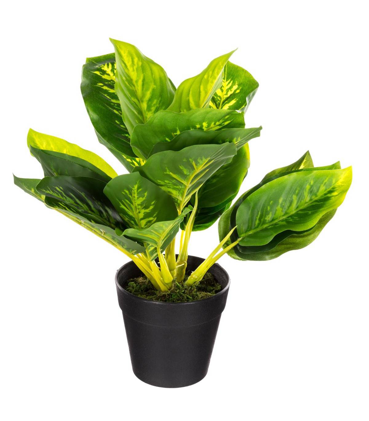 Plante artificielle en pot H 30 cm - Image 1