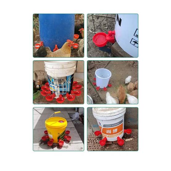 Lot de 5 abreuvoirs bol pour bidon en plastique rouge pour volailles - Image 1