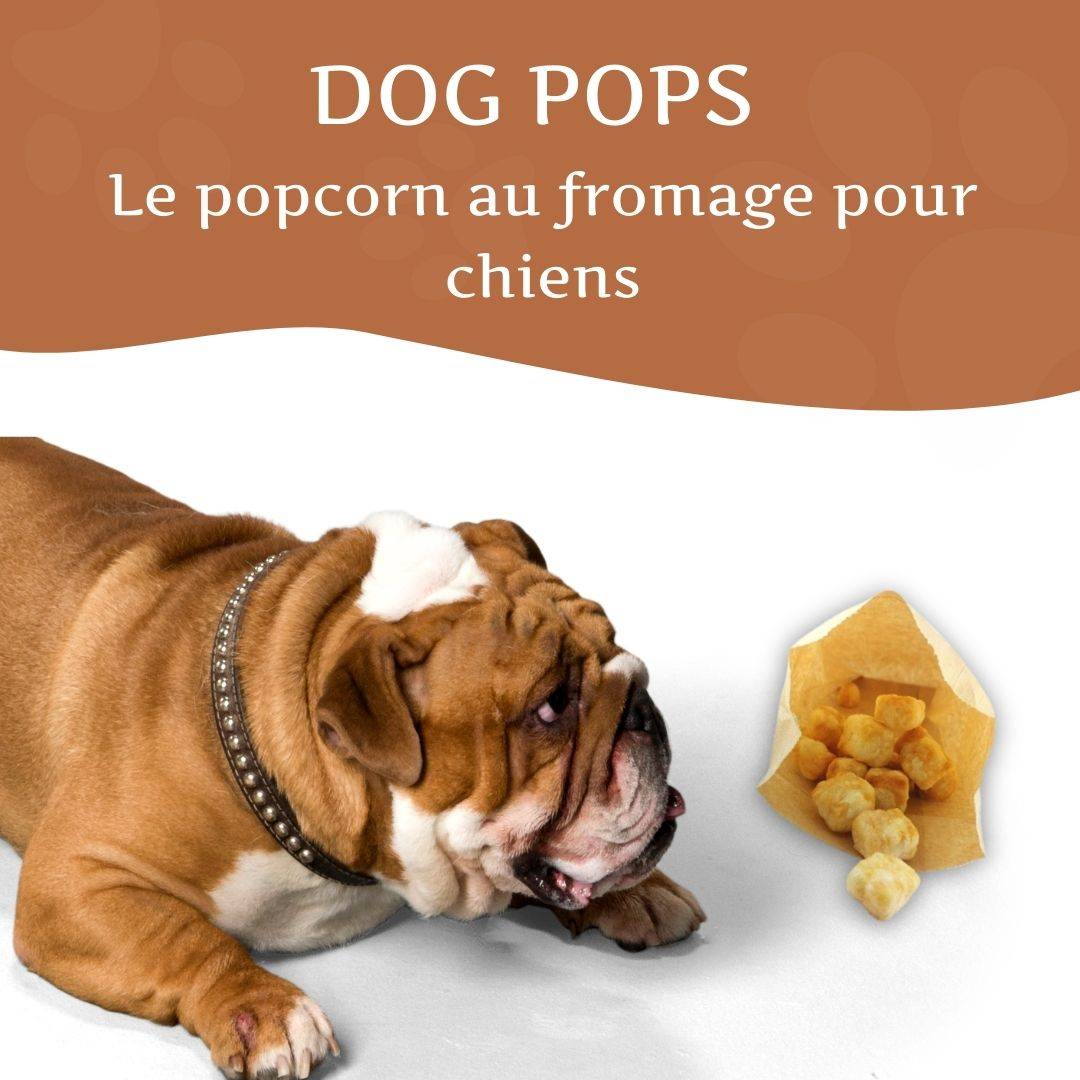 Wildfang - Wildfang — Mélange apéritif au fromage - Popcorn au fromage et Harties - Sans céréales - Image 5