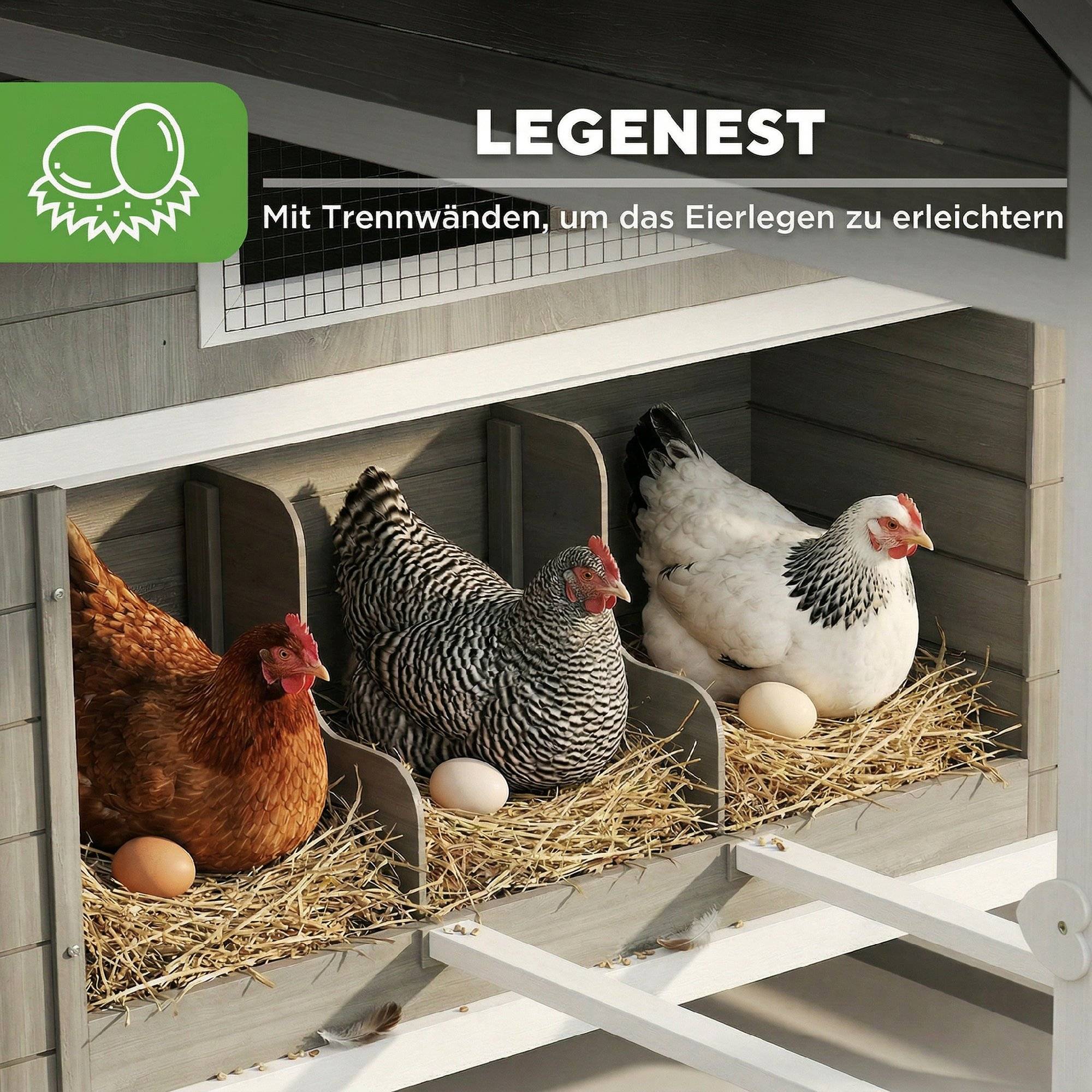 Sans Marque - Poulailler bois, enclos, nichoir, toit asphalté, bac amovible, 4-6 poules, 347x160x150 cm, Gris foncé - Image 8