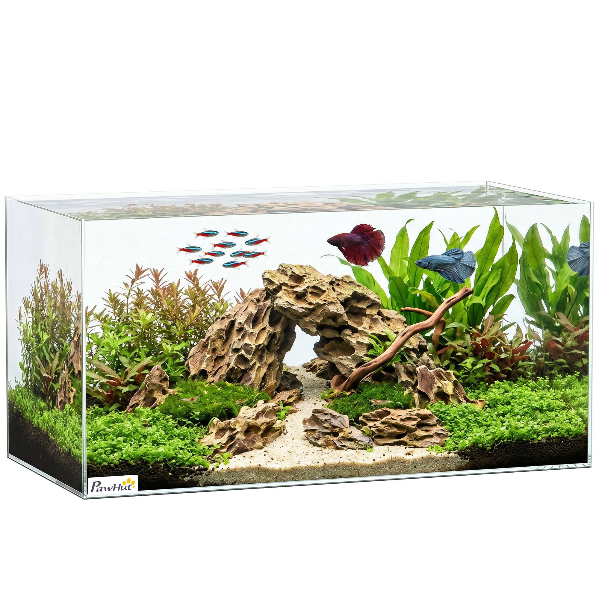 ComfortXL - Aquarium verre trempé 51 L 60x30x30 cm transparent poissons crevettes tortues - ComfortXL Outdoor Living - Image 1