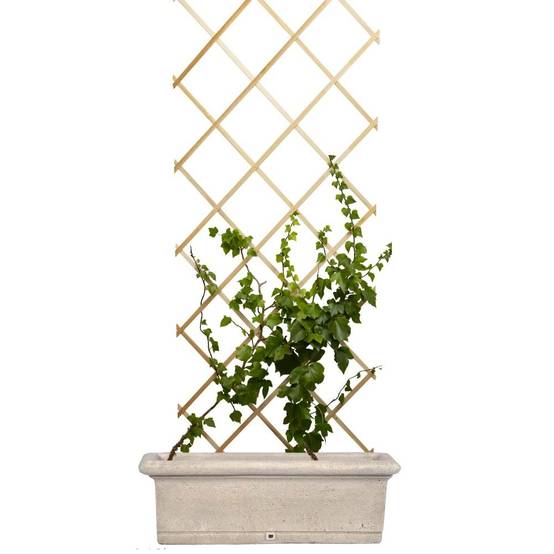 Treillis en bois pour plantes grimpantes - TERRE JARDIN - Image 3