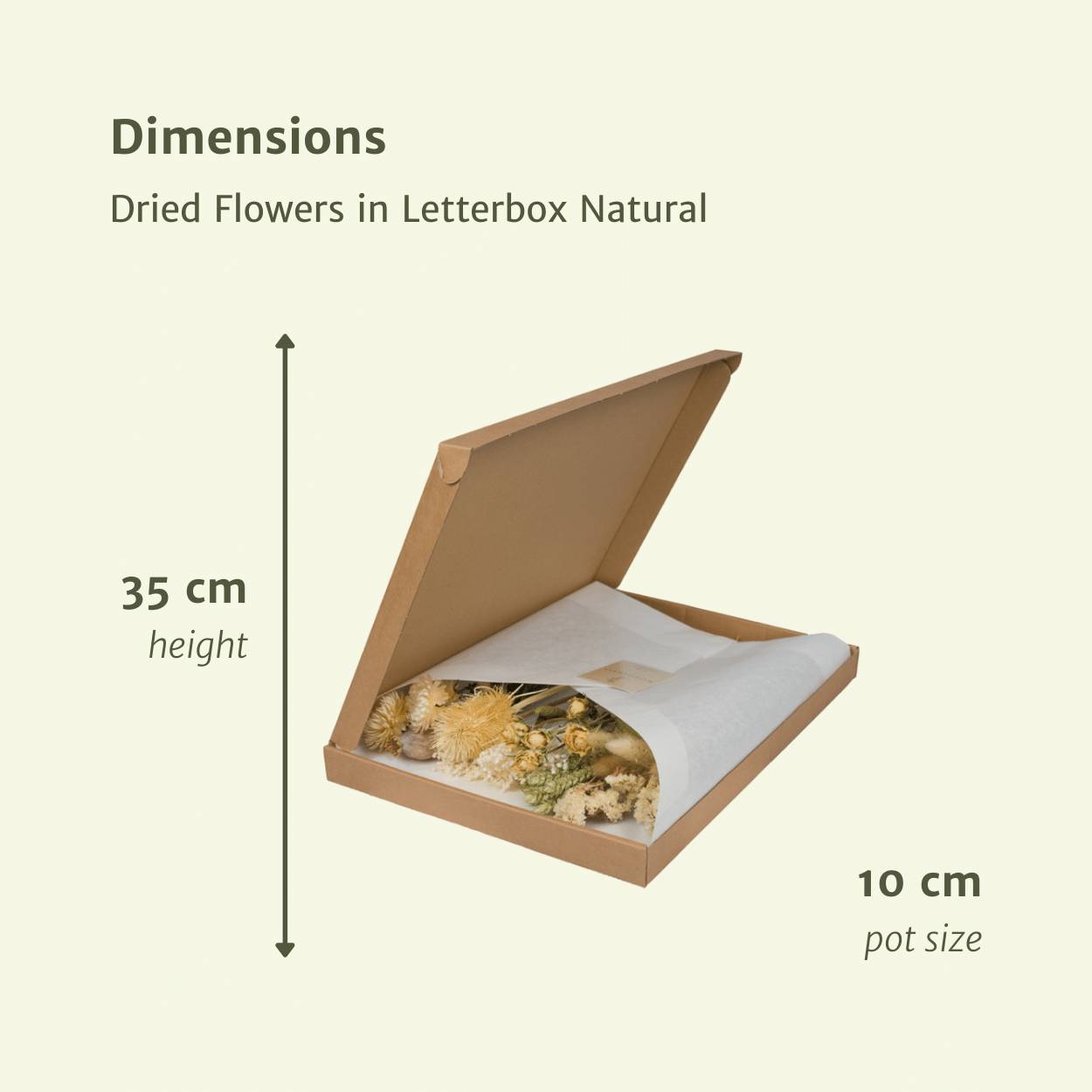 Bouquet de fleurs séchées format boîte aux lettres - naturel - Ø10cm - ↕35cm - Image 2